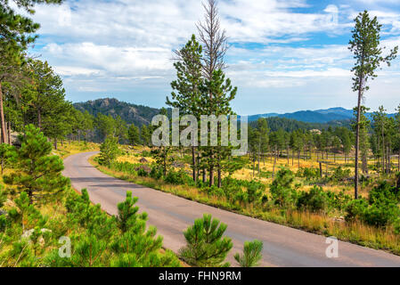 Schöne Panoramastraße vorbei durch den Custer State Park Stockfoto