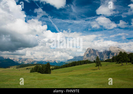 Langkofel, Plattkofels, Seiser Alm, Naturpark Schlern-Rosengarten, Dolomiten Stockfoto