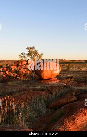 Red erodiert Granitblöcke, die bei Devil's Marbles, ein beliebtes Touristenziel, Northern Territory, NT, Australien Stockfoto