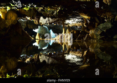 Reflexion von Stalaktiten und Stalagmiten im Pool Gough cave, Cheddar Gorge, Somerset Stockfoto