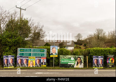 Straße West Cork Kandidat Plakate für die irischen Parlamentswahlen 2016. Stockfoto