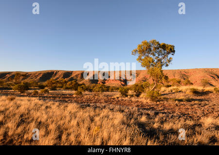 Blick auf den West MacDonnell Ranges, Northern Territory, NT, Australien Stockfoto