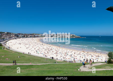 Sydneys berühmten Bondi Beach, an einem heißen Sommertag Stockfoto