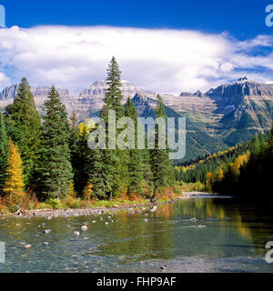 Herbstfarben Sie am Mcdonald Creek unterhalb der Gartenmauer im Glacier National Park, montana Stockfoto