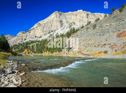 Herbstfarben entlang des Sonnenflusses in einer Schlucht unterhalb des gibson Reservoirs bei augusta, montana Stockfoto