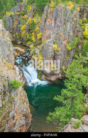 abgelegenen Wasserfall und Farben des Herbstes entlang Tenderfoot Creek in den kleinen Belt-Bergen in der Nähe von weißen Schwefelquellen, montana Stockfoto