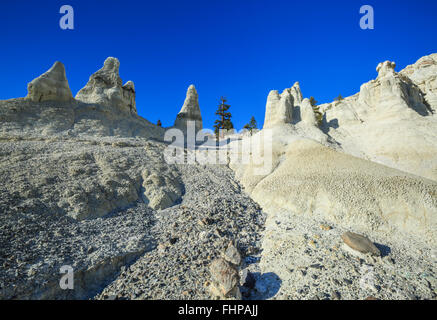 erodierte Zinnen der Vulkanasche und tertiären Sedimenten im Bereich "weiße Erde" in der Nähe von Winston, montana Stockfoto