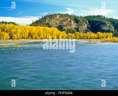 fall colors along the yellowstone river near park city, montana Stockfoto