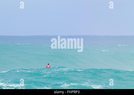 Haleiwa, Hawaii, USA. 25. Februar 2016. 25. Februar 2016 - Riff McIntosh wartet geduldig auf eine Welle während der Aktion bei der 2016 Eddie Aikau Big Wave Invitational präsentiert von Quicksilver im Waimea Bay in Haleiwa, HI Credit: Cal Sport Media/Alamy Live News Stockfoto