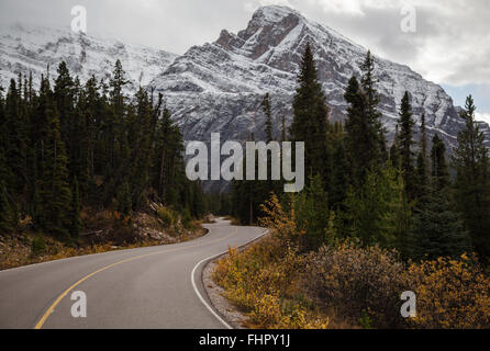 Weg zum Edith Cavell im Jasper National Park Stockfoto