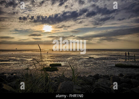 Deutschland, Dithmarschen, Friedrichskoog-Spitze, Sonnenuntergang an der Nordsee-Nordsee Stockfoto
