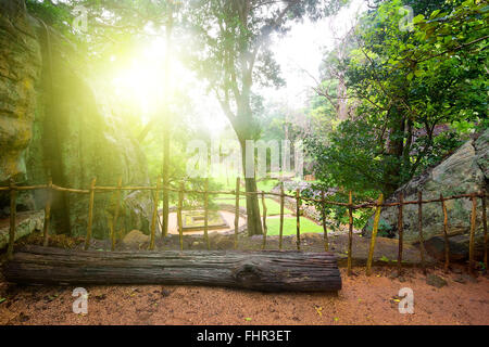 Alte Ruinen in grünen Park auf Sigiriya, Sri Lanka Stockfoto