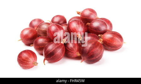 Rote Stachelbeeren isoliert auf weißem Hintergrund Stockfoto