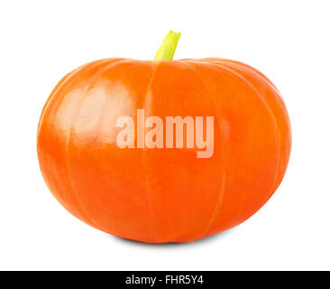 Frische orange Kürbis isoliert auf weißem Hintergrund Stockfoto
