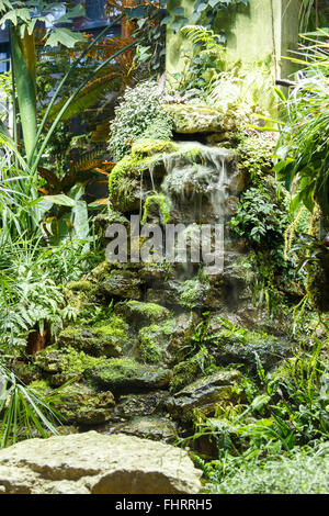 Künstlicher Stein Wasserfall und Pflanzen im Gewächshaus Stockfoto