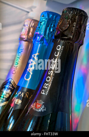 PROSECCO CAVA CHAMPAGNER gekühlt Schaumweine im heimischen Kühlschrank Tür Prosecco Flasche im Vordergrund Sekt & Champagner hinter im party Beleuchtung Stockfoto