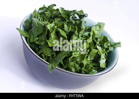 Frische grüne Spinat Schale Stockfoto