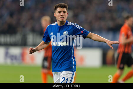 Gelsenkirchen, Deutschland. 25. Februar 2016. Schalke Alessandro Schoepf in Aktion während der Fußball-Europa League Runde der 32 Rückspiel-match zwischen FC Schalke 04 und der FC Shakhtar Donetsk in der Veltins Arena in Gelsenkirchen, Deutschland, 25. Februar 2016. Foto: GUIDO KIRCHNER/Dpa/Alamy Live News Stockfoto