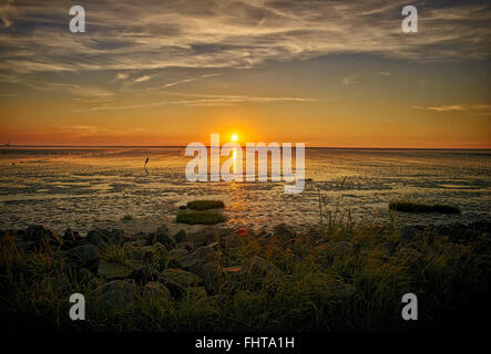 Deutschland, Dithmarschen, Friedrichskoog-Spitze, Sonnenuntergang an der Nordsee-Nordsee Stockfoto
