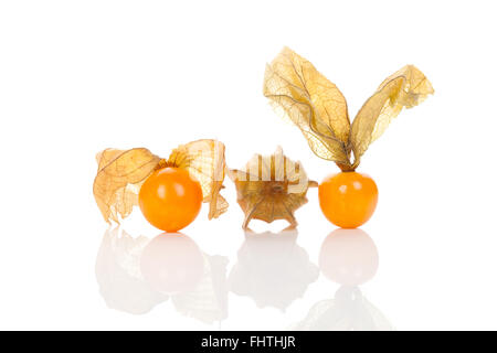 Physalis isoliert auf weißem Hintergrund. Stockfoto