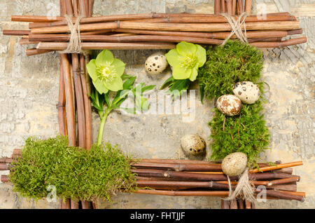 Ostern-Rahmen mit Vintage-Hintergrund und fünf gekochte Wachteleier plus zwei Nieswurz Blumen Stockfoto