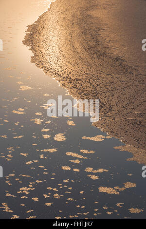 Schöne Textur erstellt durch die Salzkristalle Form in den Prozess der natürlichen Verdunstung von Meerwasser. Stockfoto