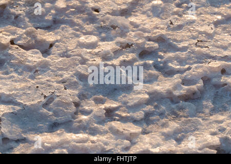 Schöne Textur erstellt durch die Salzkristalle Form in den Prozess der natürlichen Verdunstung von Meerwasser. Stockfoto