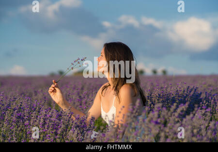 Schöne junge Frau hält eine Reihe von Lavendel Blumen ihren Duft in der Mitte ein Lavendelfeld bei Sonnenuntergang zu genießen. Stockfoto