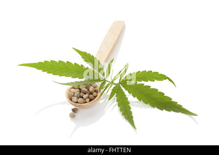 Cannabis-Samen auf Holzlöffel. Stockfoto