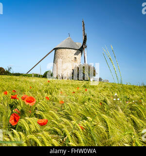 Frankreich, der Moidrey Windmühle in Pontorson in Normandie Stockfoto