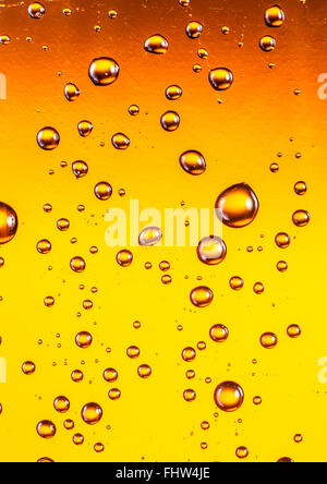 Wassertropfen auf Glas Bier. Hautnah. Stockfoto