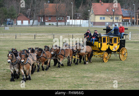 Brück, Deutschland. 26. Februar 2016. Eine von zehn schweren Pferden gezogenen Kutsche ist während der "Titanen der Rennbahn" (lit.) gesehen. Titanen der Rennbahn) Reitturnier in Brück, Deutschland, 26. Februar 2016. Die Show, die laut Veranstalter das größte seiner Art in Europa ist, findet zum 15. Mal im Jahr 2016. Die Organisatoren erwarten bis zu 20.000 Besucher. Foto: Ralf Hirschberger/Dpa/Alamy Live News Stockfoto