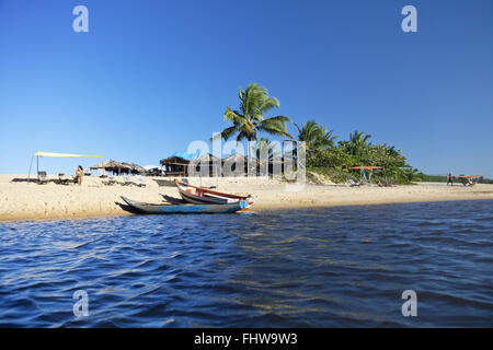 Fischschwarm im Fluss Caraíva - Bezirk von Porto Seguro Stockfoto