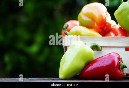 Süße bunte Paprika auf rustikalen Hintergrund Stockfoto