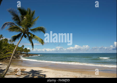 Jeribucacu Strand - Kakao-Küste Stockfoto