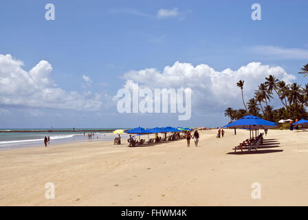 Porto de Galinhas Beach in Ipojuca - Metropolregion Recife - PE Stockfoto