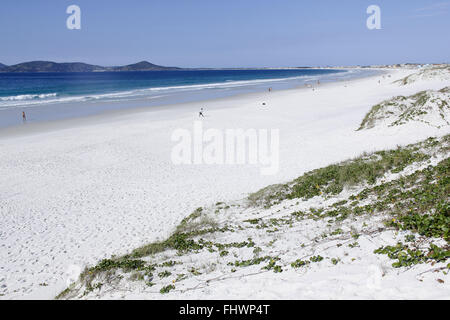 Dünen von Praia Forte in Rio Küste - Seen-Region Stockfoto