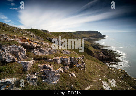 Blick vom Southgate auf Pwlldu Head an der Gower Küste, S Wales UK Stockfoto