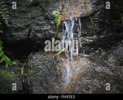 Kleiner Wasserfall über die Felsen fließt Stockfoto
