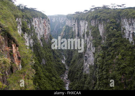 Brasilien, Rio Grande Do Sul, Parque Nacional de Aparados da Serra, Itaimbezinho Canyon, angesichts der engen Schlucht mit Strom an Unterseite Stockfoto