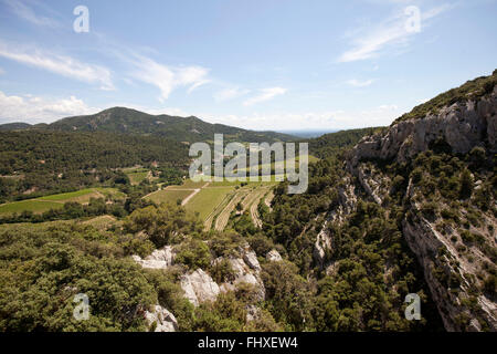 Landschaft aus dem Gebirge "Dentelles de Montmirail" Stockfoto