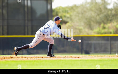 Port Charlotte, Florida, USA. 26. Februar 2016. WILL VRAGOVIC | Times.Tampa Bay Strahlen Shortstop Brad Miller (13) Felder einen Boden-Ball während des ersten voll-Kader Training der Strahlen Spring Training bei Charlotte Sportpark in Port Charlotte, Florida auf Freitag, 26. Februar 2016. © Willen Vragovic/Tampa Bay Times / ZUMA Draht/Alamy Live News Stockfoto