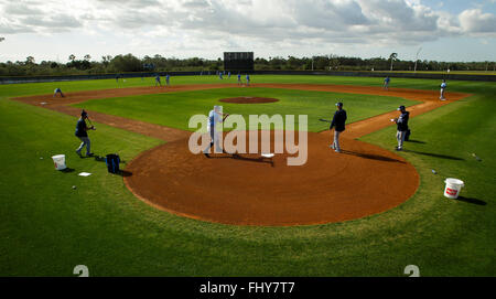 Port Charlotte, Florida, USA. 26. Februar 2016. WILL VRAGOVIC | Times.Tampa Bay Strahlen Trainer schlagen Boden Kugeln Infielders während des ersten voll-Kader Training der Strahlen Spring Training bei Charlotte Sportpark in Port Charlotte, Florida auf Freitag, 26. Februar 2016. © Willen Vragovic/Tampa Bay Times / ZUMA Draht/Alamy Live News Stockfoto