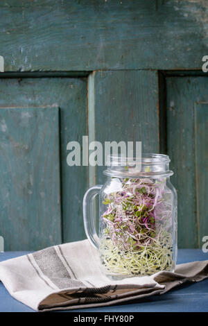 Gesunde Ernährung. Frischer Knoblauch und Radieschen Sprossen im Glas Einmachglas auf Küchentuch über blauen hölzernen Tisch stehen. Rustikaler Stil Stockfoto