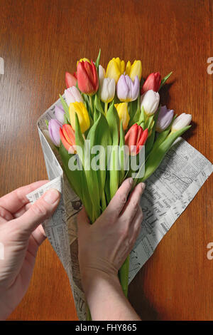 Damit Tulpen Bukett, Verpackung mit Zeitung Stockfoto