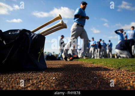 Port Charlotte, Florida, USA. 26. Februar 2016. WILL VRAGOVIC | Times.Friday war das erste voll-Kader Training der Strahlen Spring Training bei Charlotte Sportpark in Port Charlotte, Florida am Freitag, 26. Februar 2016. © Willen Vragovic/Tampa Bay Times / ZUMA Draht/Alamy Live News Stockfoto