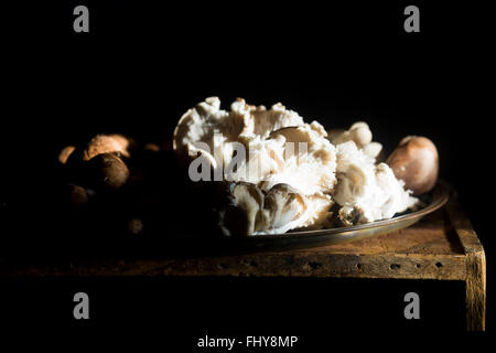 Rohe Pilze Stockfoto