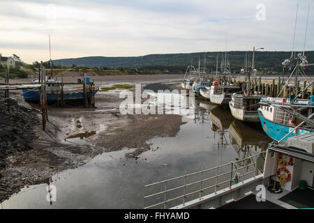 Advocate Hafen bei Ebbe Stockfoto