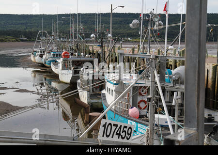 Advocate Hafen bei Ebbe Stockfoto