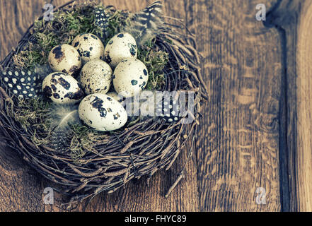 Oster-Deko. Wachteleier im Nest. Vintage-Stil getönten Bild Stockfoto